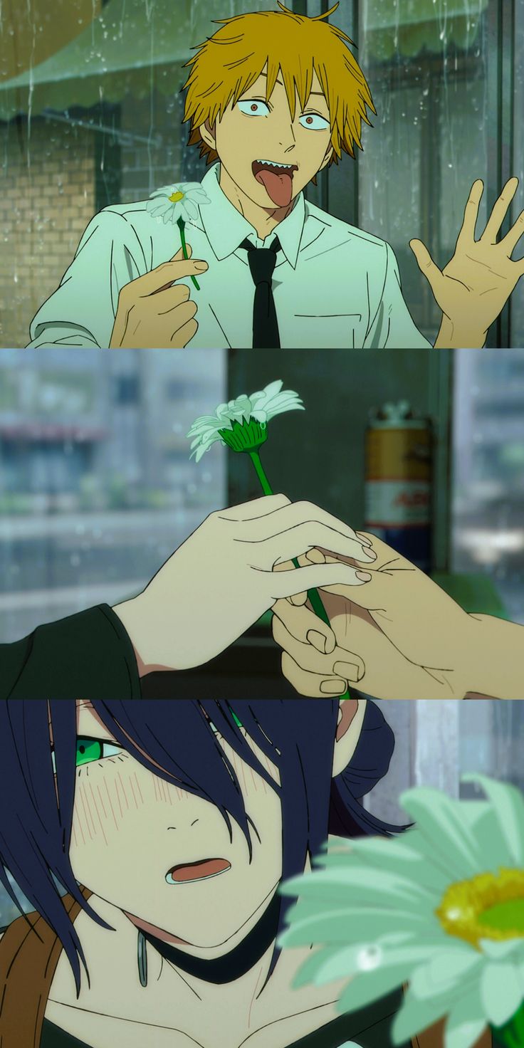 Descripción de la foto 1